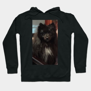 Pom Repose 3 Hoodie